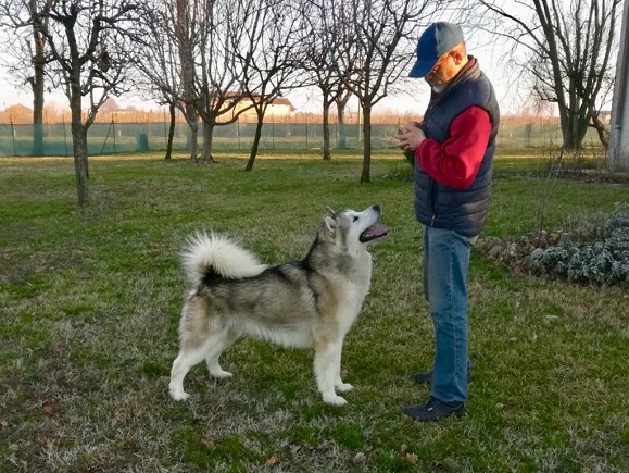 uncas_bellissimo uncas_bellissimo